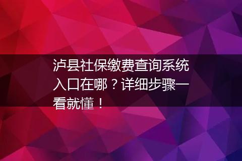 泸县社保缴费查询系统入口在哪？详细步骤一看就懂！