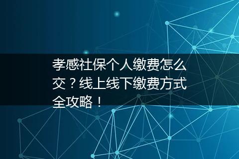 孝感社保个人缴费怎么交？线上线下缴费方式全攻略！