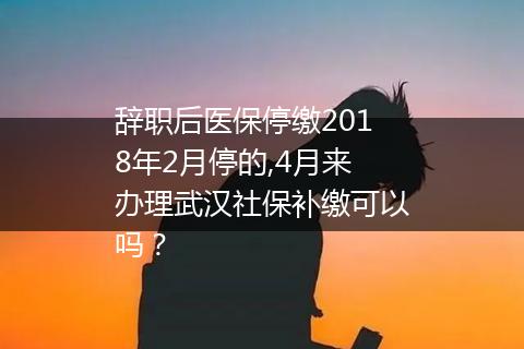 辞职后医保停缴2018年2月停的,4月来办理武汉社保补缴可以吗？