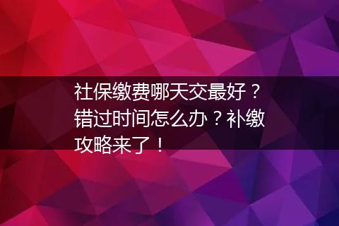 社保缴费哪天交最好？错过时间怎么办？补缴攻略来了！