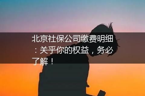 北京社保公司缴费明细：关乎你的权益，务必了解！