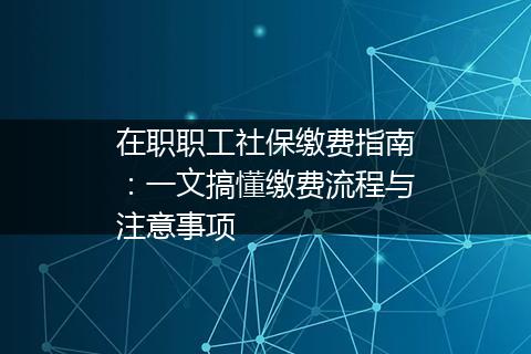 在职职工社保缴费指南：一文搞懂缴费流程与注意事项