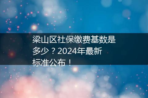 梁山区社保缴费基数是多少？2024年最新标准公布！