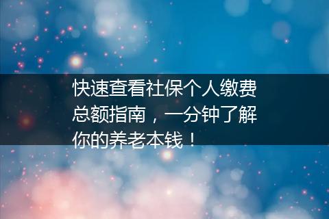 快速查看社保个人缴费总额指南，一分钟了解你的养老本钱！
