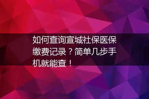 如何查询宣城社保医保缴费记录？简单几步手机就能查！
