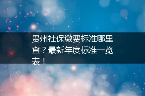 贵州社保缴费标准哪里查？最新年度标准一览表！