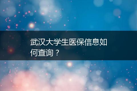 武汉大学生医保信息如何查询？
