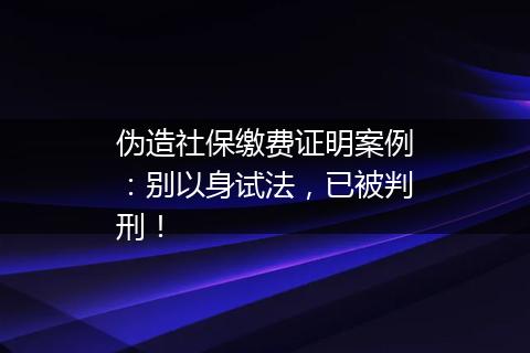 伪造社保缴费证明案例：别以身试法，已被判刑！