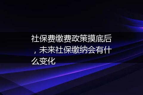 社保费缴费政策摸底后，未来社保缴纳会有什么变化