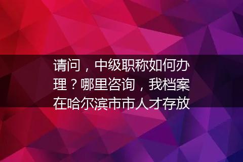请问，中级职称如何办理？哪里咨询，我档案在哈尔滨市市人才存放