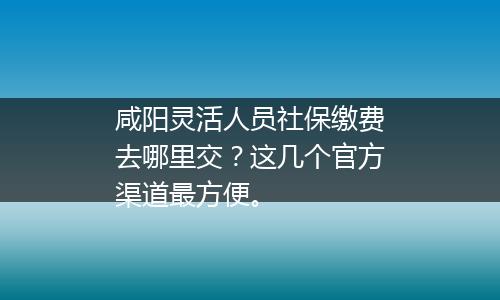 咸阳灵活人员社保缴费去哪里交？这几个官方渠道最方便。
