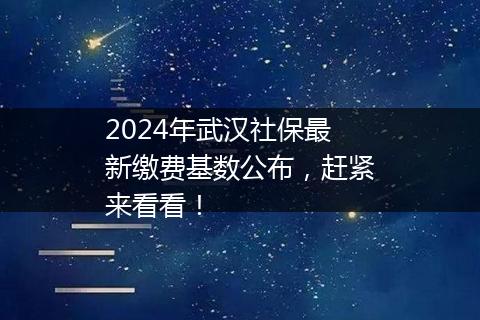 2024年武汉社保最新缴费基数公布，赶紧来看看！