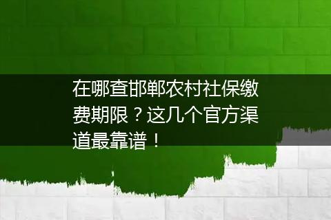 在哪查邯郸农村社保缴费期限？这几个官方渠道最靠谱！