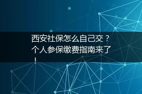 西安社保怎么自己交？个人参保缴费指南来了！
