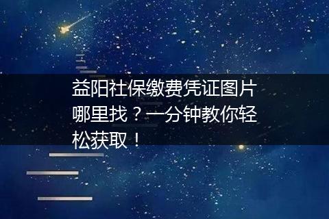 益阳社保缴费凭证图片哪里找？一分钟教你轻松获取！
