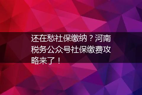 还在愁社保缴纳？河南税务公众号社保缴费攻略来了！
