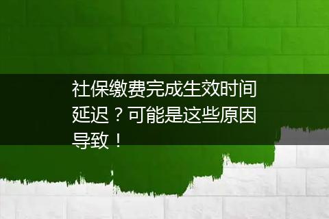 社保缴费完成生效时间延迟？可能是这些原因导致！