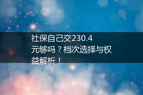 社保自己交230.4元够吗？档次选择与权益解析！