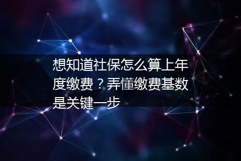 想知道社保怎么算上年度缴费？弄懂缴费基数是关键一步