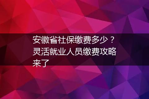 安徽省社保缴费多少？灵活就业人员缴费攻略来了