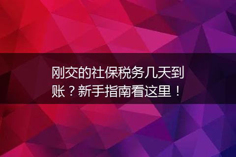 刚交的社保税务几天到账？新手指南看这里！