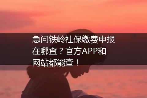 急问铁岭社保缴费申报在哪查？官方APP和网站都能查！