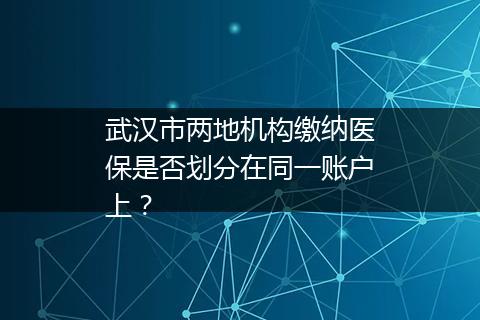 武汉市两地机构缴纳医保是否划分在同一账户上？