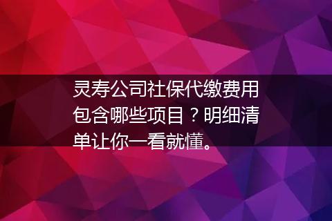 灵寿公司社保代缴费用包含哪些项目？明细清单让你一看就懂。