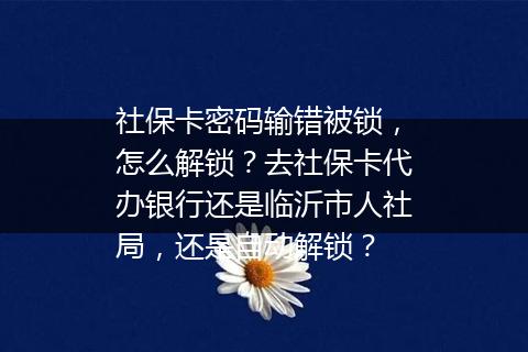 社保卡密码输错被锁，怎么解锁？去社保卡代办银行还是临沂市人社局，还是自动解锁？