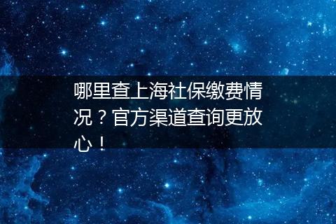 哪里查上海社保缴费情况？官方渠道查询更放心！