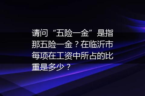 请问“五险一金”是指那五险一金？在临沂市每项在工资中所占的比重是多少？