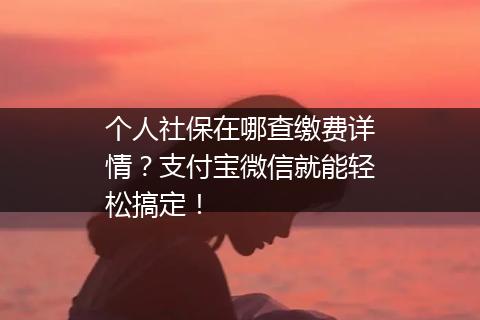 个人社保在哪查缴费详情？支付宝微信就能轻松搞定！