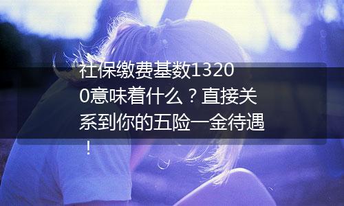 社保缴费基数13200意味着什么?直接关系到你的五险一金待遇!