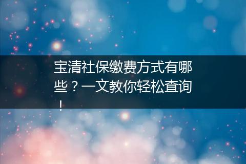 宝清社保缴费方式有哪些?一文教你轻松查询!